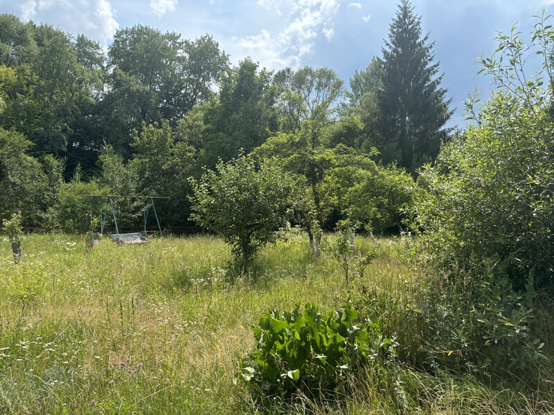 Targu Mures,